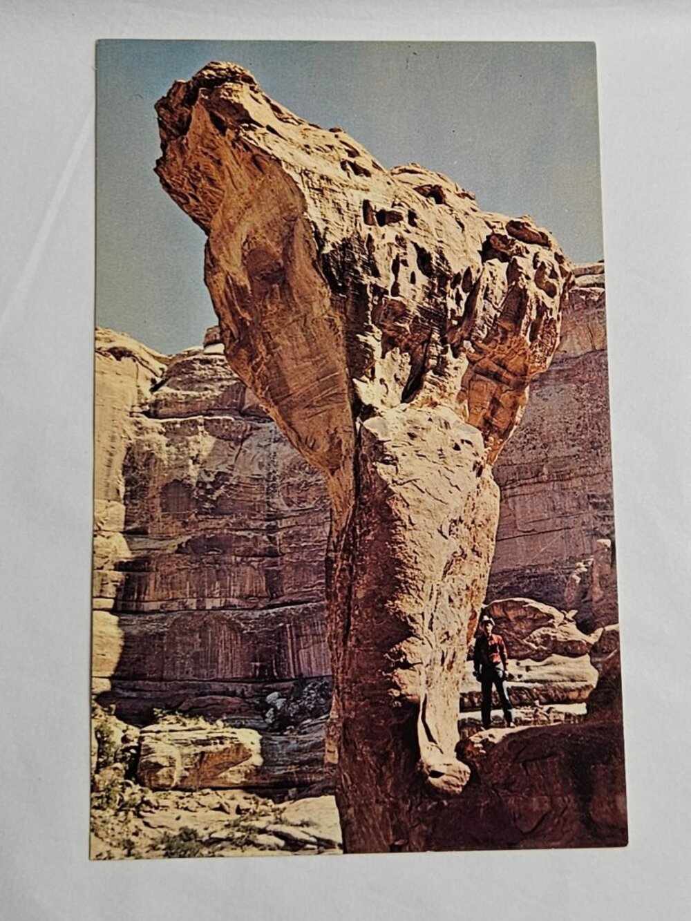 Canyonlands National Park Utah The Molar Rock Dentist Delight Postcard